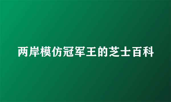 两岸模仿冠军王的芝士百科