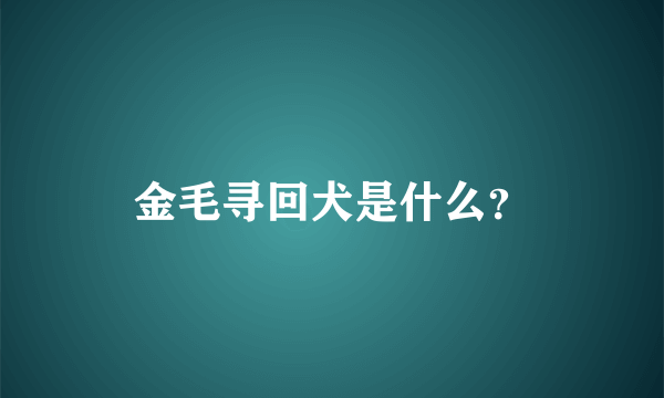 金毛寻回犬是什么？