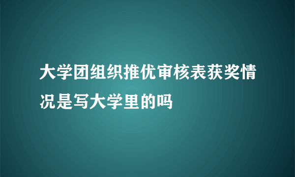 大学团组织推优审核表获奖情况是写大学里的吗