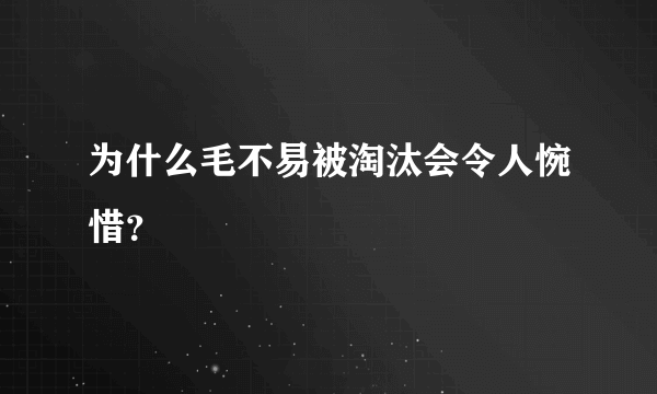 为什么毛不易被淘汰会令人惋惜？