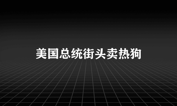 美国总统街头卖热狗