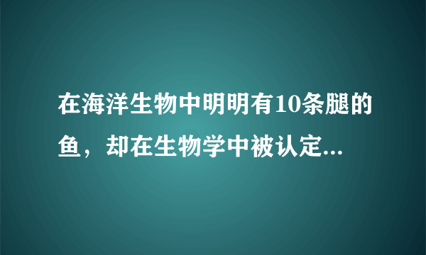 在海洋生物中明明有10条腿的鱼，却在生物学中被认定为没有腿的是什么鱼