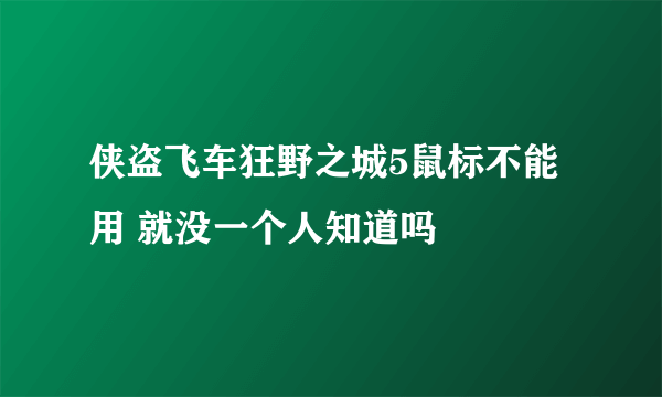 侠盗飞车狂野之城5鼠标不能用 就没一个人知道吗