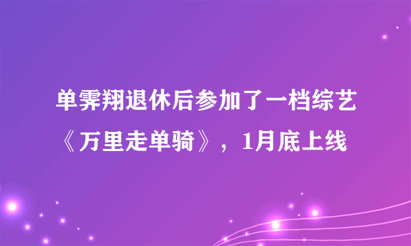 单霁翔退休后参加了一档综艺《万里走单骑》，1月底上线