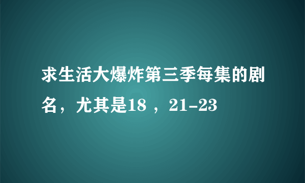 求生活大爆炸第三季每集的剧名，尤其是18 ，21-23