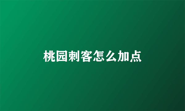 桃园刺客怎么加点