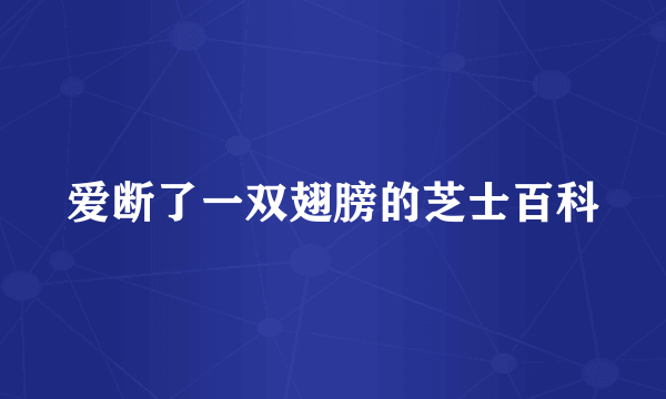 爱断了一双翅膀的芝士百科