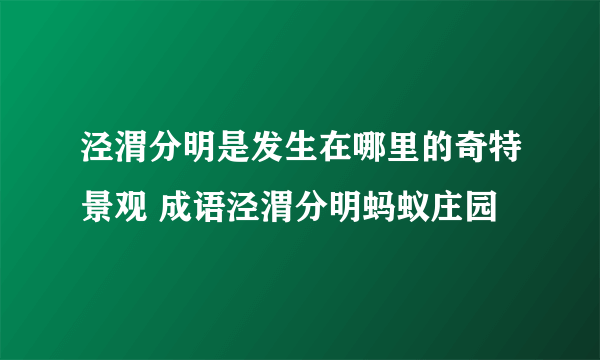 泾渭分明是发生在哪里的奇特景观 成语泾渭分明蚂蚁庄园