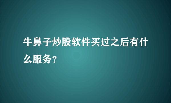 牛鼻子炒股软件买过之后有什么服务？