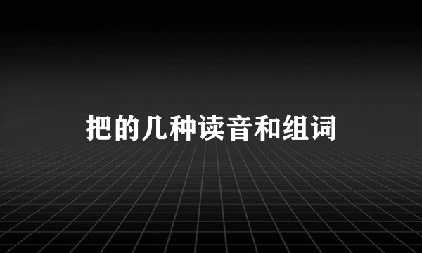 把的几种读音和组词