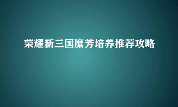 荣耀新三国糜芳培养推荐攻略