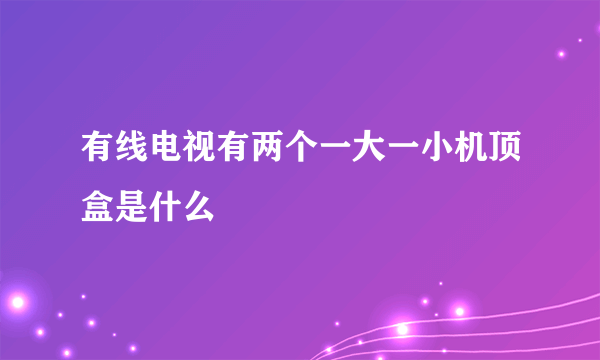 有线电视有两个一大一小机顶盒是什么