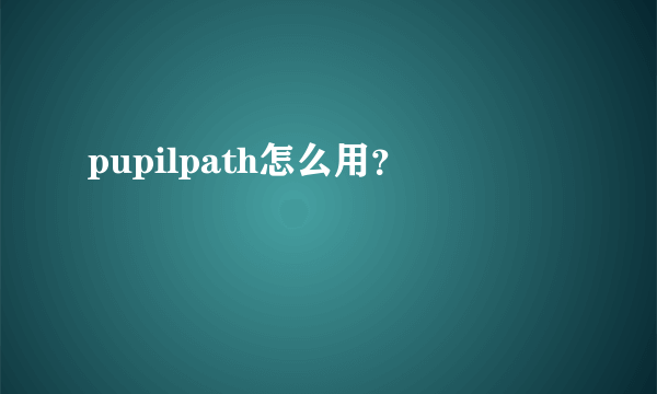 pupilpath怎么用？