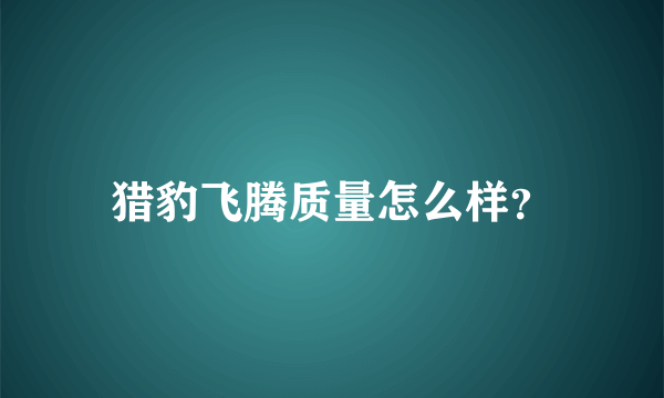 猎豹飞腾质量怎么样？