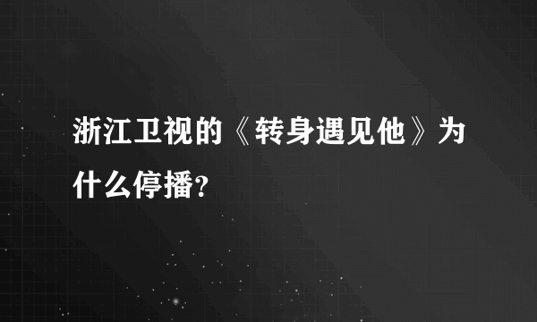 浙江卫视的《转身遇见他》为什么停播？