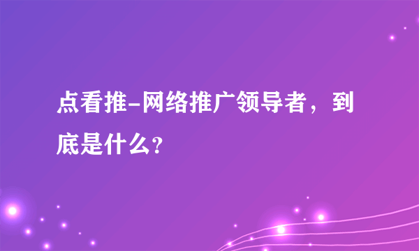 点看推-网络推广领导者，到底是什么？