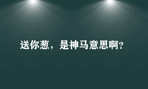 送你葱，是神马意思啊？