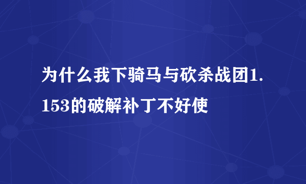 为什么我下骑马与砍杀战团1.153的破解补丁不好使