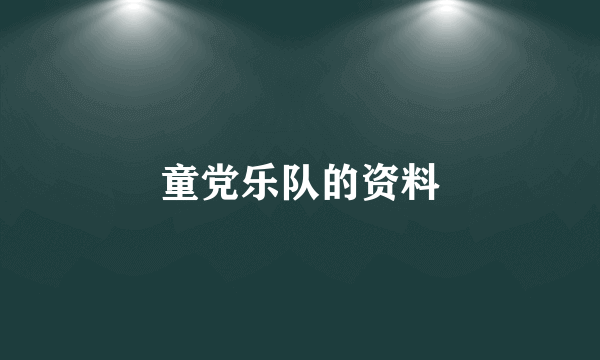 童党乐队的资料