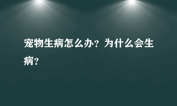 宠物生病怎么办？为什么会生病？