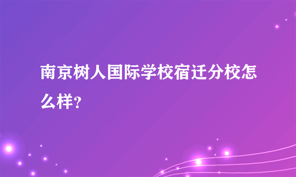 南京树人国际学校宿迁分校怎么样？