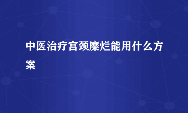 中医治疗宫颈糜烂能用什么方案