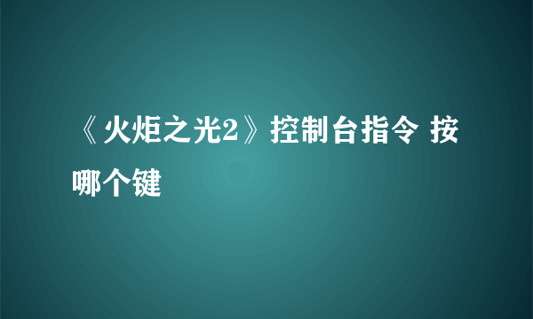 《火炬之光2》控制台指令 按哪个键