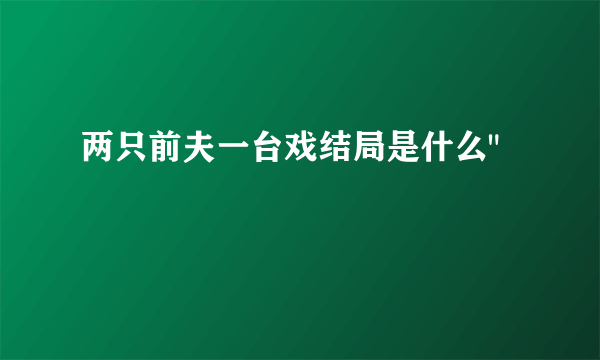 两只前夫一台戏结局是什么