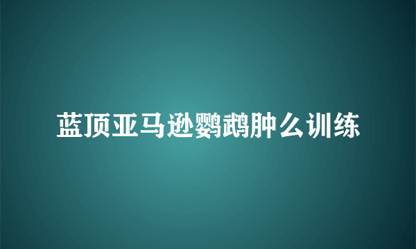 蓝顶亚马逊鹦鹉肿么训练