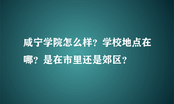 咸宁学院怎么样？学校地点在哪？是在市里还是郊区？