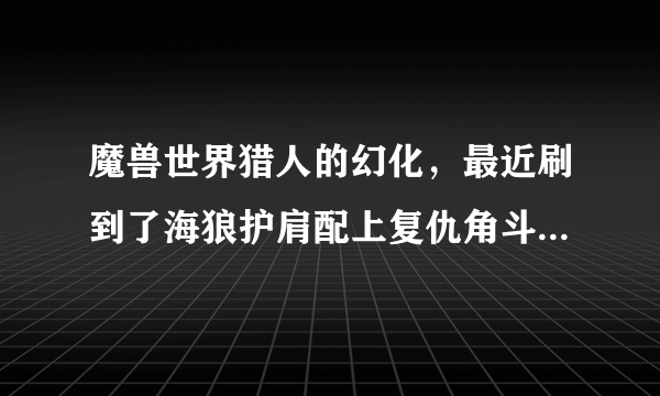 魔兽世界猎人的幻化，最近刷到了海狼护肩配上复仇角斗士的长弓