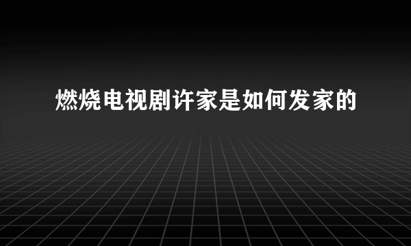 燃烧电视剧许家是如何发家的