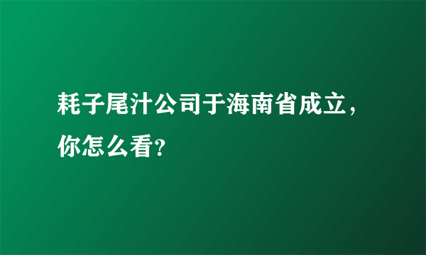 耗子尾汁公司于海南省成立，你怎么看？