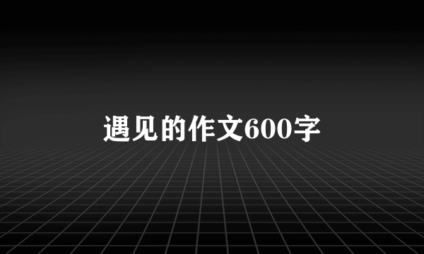 遇见的作文600字