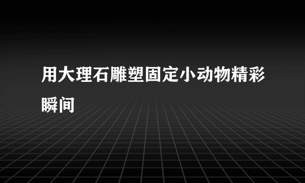 用大理石雕塑固定小动物精彩瞬间