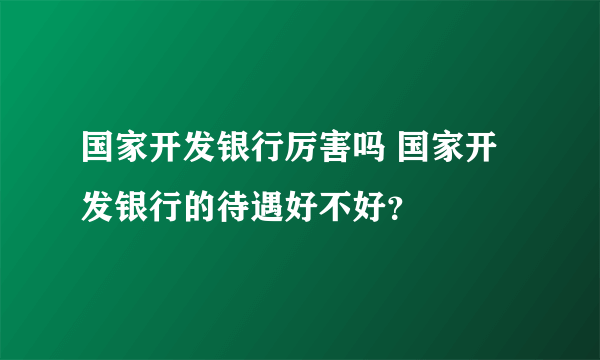 国家开发银行厉害吗 国家开发银行的待遇好不好？