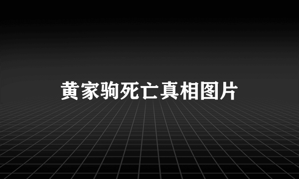 黄家驹死亡真相图片