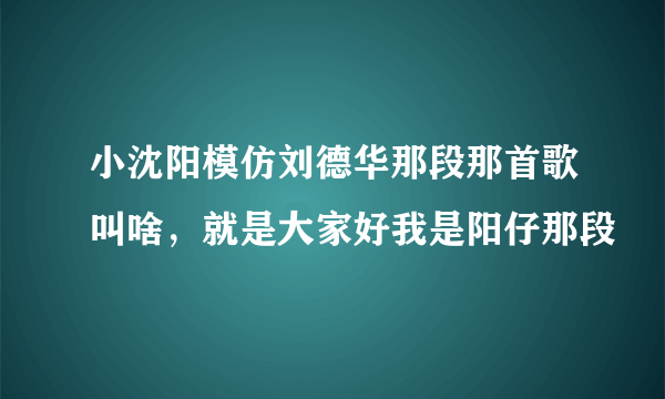 小沈阳模仿刘德华那段那首歌叫啥，就是大家好我是阳仔那段