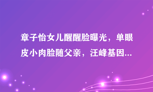 章子怡女儿醒醒脸曝光，单眼皮小肉脸随父亲，汪峰基因太强大！你怎么看？