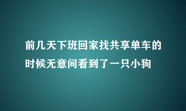 前几天下班回家找共享单车的时候无意间看到了一只小狗