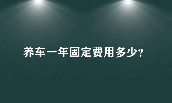 养车一年固定费用多少？