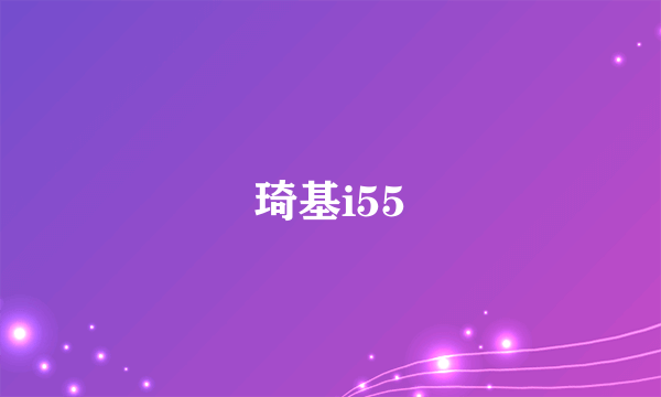 琦基i55