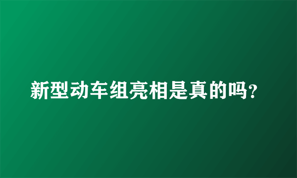 新型动车组亮相是真的吗？