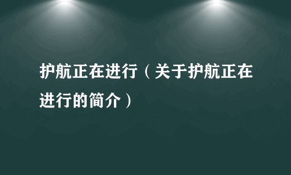 护航正在进行（关于护航正在进行的简介）