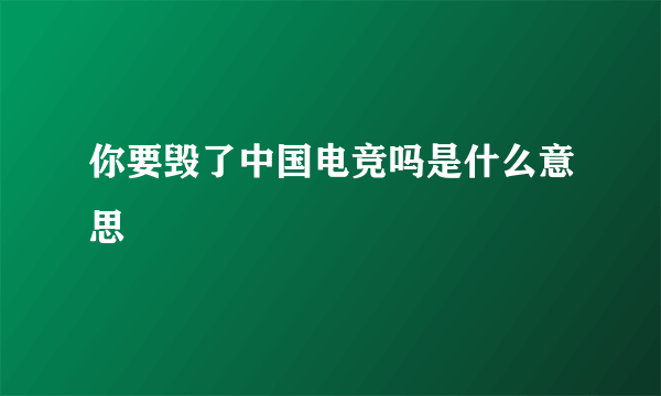 你要毁了中国电竞吗是什么意思