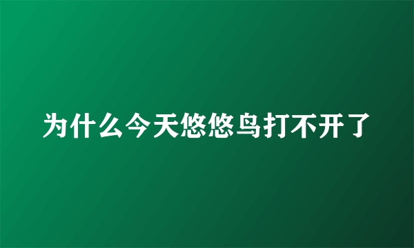 为什么今天悠悠鸟打不开了