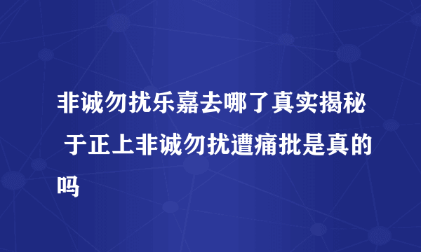 非诚勿扰乐嘉去哪了真实揭秘 于正上非诚勿扰遭痛批是真的吗