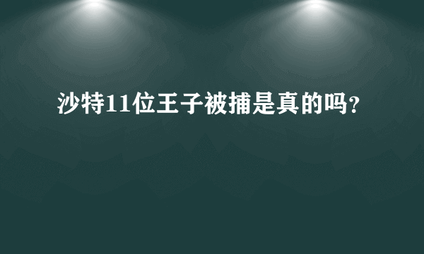 沙特11位王子被捕是真的吗？