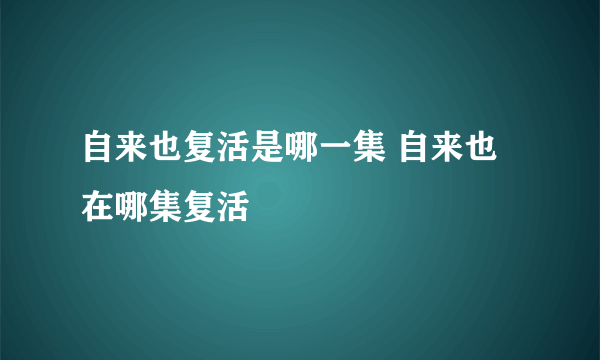 自来也复活是哪一集 自来也在哪集复活