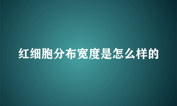 红细胞分布宽度是怎么样的